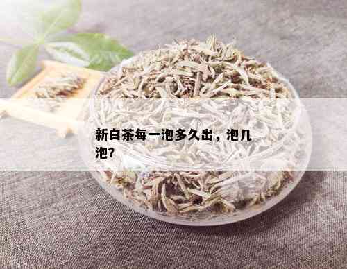 新白茶每一泡多久出，泡几泡？