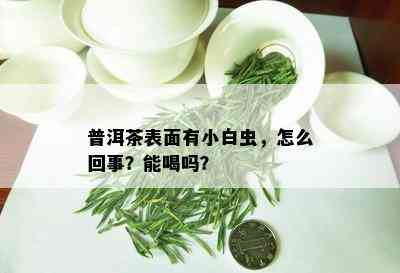 普洱茶表面有小白虫，怎么回事？能喝吗？