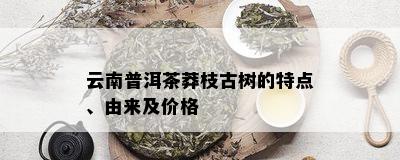 云南普洱茶莽枝古树的特点、由来及价格