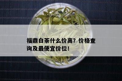 福鼎白茶什么价高？价格查询及更便宜价位！