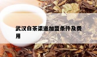 武汉白茶渠道加盟条件及费用