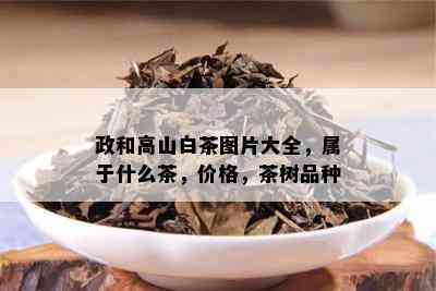 政和高山白茶图片大全，属于什么茶，价格，茶树品种