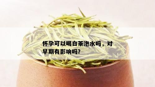 怀孕可以喝白茶泡水吗，对早期有影响吗？