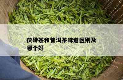 茯砖茶和普洱茶味道区别及哪个好