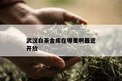 武汉白茶金库在哪里啊最近开放