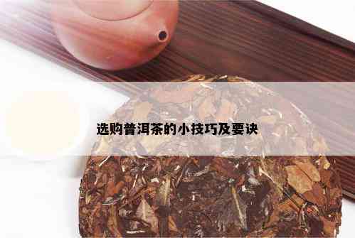 选购普洱茶的小技巧及要诀