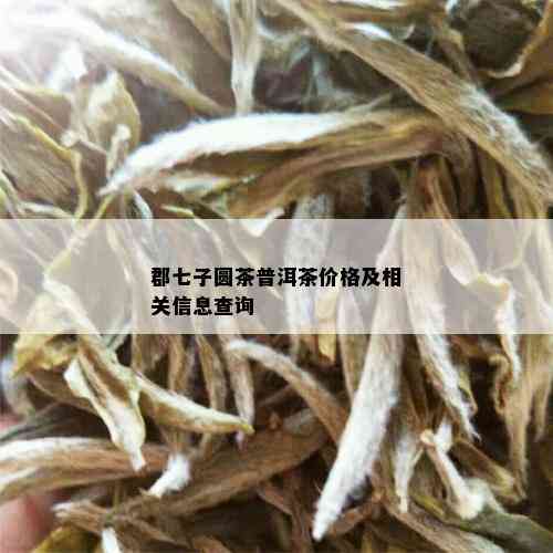 郡七子圆茶普洱茶价格及相关信息查询