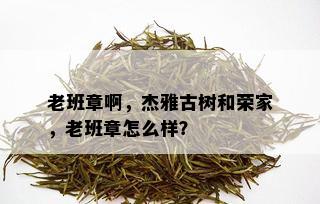 老班章啊，杰雅古树和荣家，老班章怎么样？