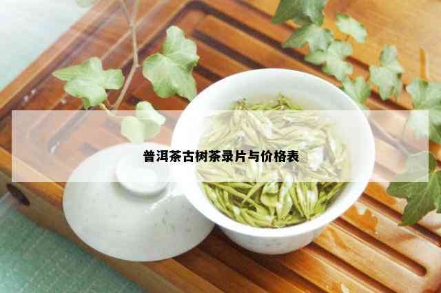 普洱茶古树茶录片与价格表