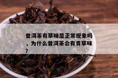 普洱茶有草味是正常现象吗，为什么普洱茶会有青草味？