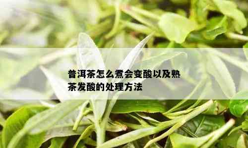 普洱茶怎么煮会变酸以及熟茶发酸的处理方法