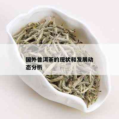 国外普洱茶的现状和发展动态分析