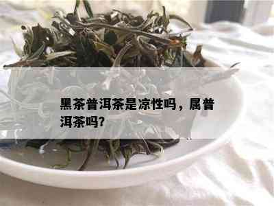 黑茶普洱茶是凉性吗，属普洱茶吗？