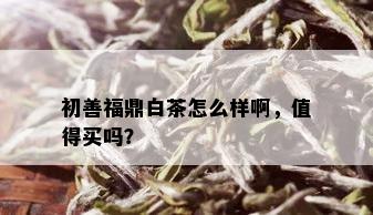 初善福鼎白茶怎么样啊，值得买吗？