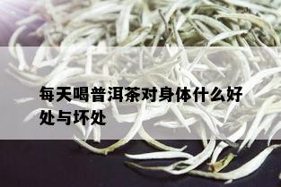 每天喝普洱茶对身体什么好处与坏处