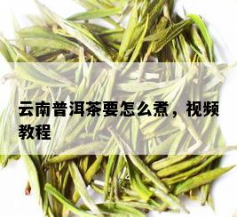 云南普洱茶要怎么煮，视频教程