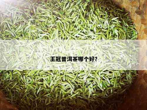 王冠普洱茶哪个好？