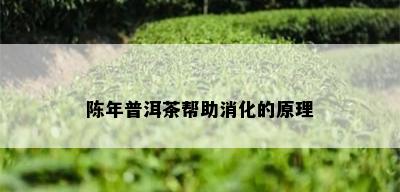 陈年普洱茶帮助消化的原理