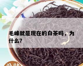 毛峰就是现在的白茶吗，为什么？