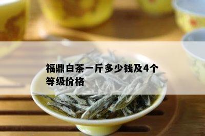 福鼎白茶一斤多少钱及4个等级价格