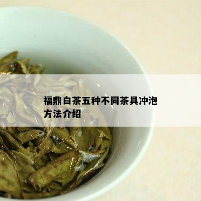 福鼎白茶五种不同茶具冲泡方法介绍