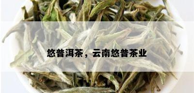 悠普洱茶，云南悠普茶业