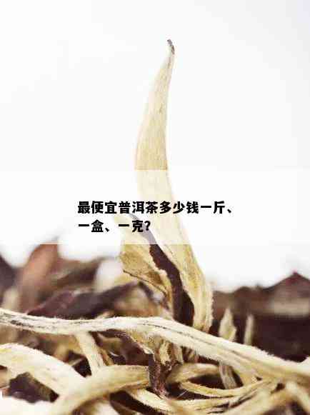 更便宜普洱茶多少钱一斤、一盒、一克？