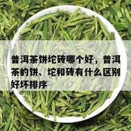 普洱茶饼坨砖哪个好，普洱茶的饼、坨和砖有什么区别好坏排序