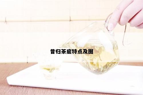 昔归茶底特点及图