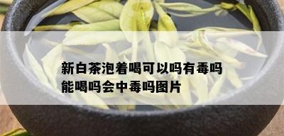 新白茶泡着喝可以吗有吗能喝吗会中吗图片