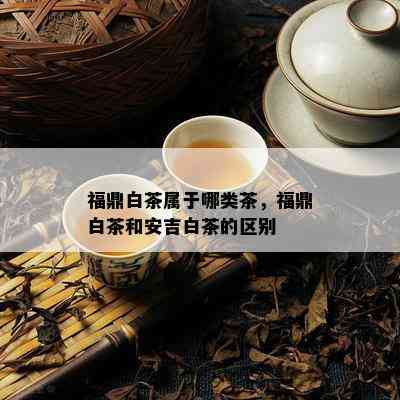 福鼎白茶属于哪类茶，福鼎白茶和安吉白茶的区别