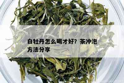 白牡丹怎么喝才好？茶冲泡方法分享