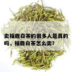 卖福鼎白茶的很多人是真的吗，福鼎白茶怎么卖？