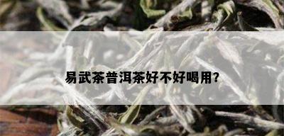 易武茶普洱茶好不好喝用？