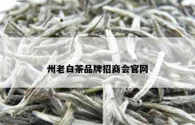 州老白茶品牌招商会官网