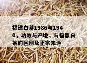 福建白茶1986与1940，功效与产地，与福鼎白茶的区别及正宗来源