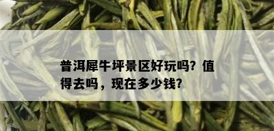 普洱犀牛坪景区好玩吗？值得去吗，现在多少钱？