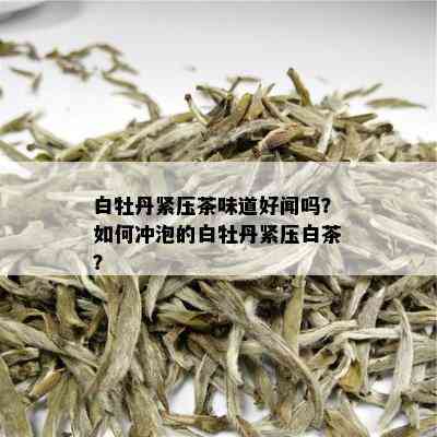 白牡丹紧压茶味道好闻吗？如何冲泡的白牡丹紧压白茶？