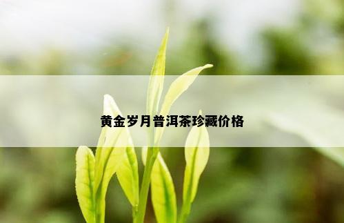 黄金岁月普洱茶珍藏价格