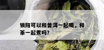 锁阳可以和普洱一起喝，和茶一起煮吗？