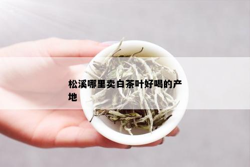 松溪哪里卖白茶叶好喝的产地