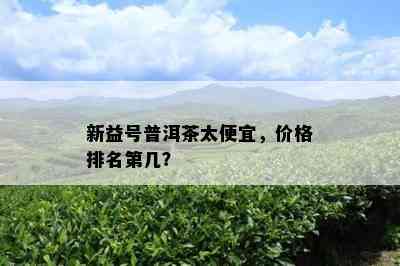 新益号普洱茶太便宜，价格排名第几？