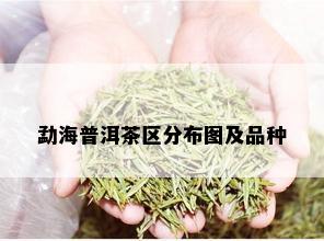 勐海普洱茶区分布图及品种