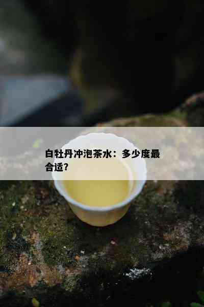 白牡丹冲泡茶水：多少度最合适？