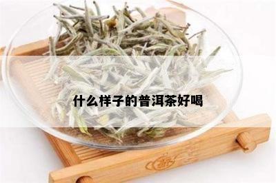 什么样子的普洱茶好喝