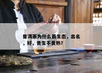 普洱茶为什么最生态，出名，好，贵生不贵熟？