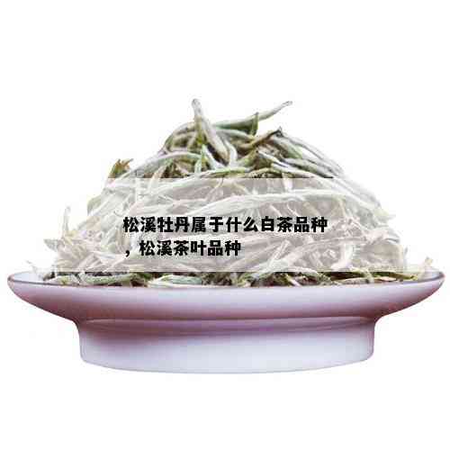 松溪牡丹属于什么白茶品种，松溪茶叶品种