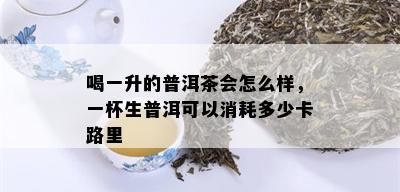 喝一升的普洱茶会怎么样，一杯生普洱可以消耗多少卡路里