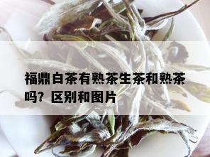 福鼎白茶有熟茶生茶和熟茶吗？区别和图片