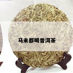 马未都喝普洱茶